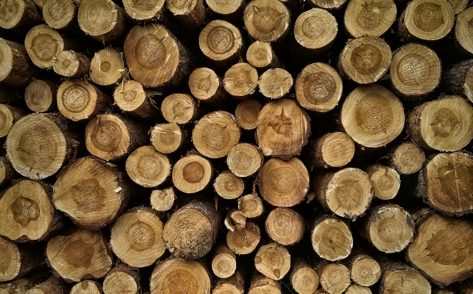 piles of brown cut logs