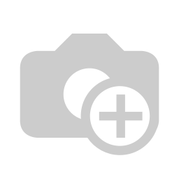 Model king front.webp