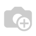 Model king front.webp